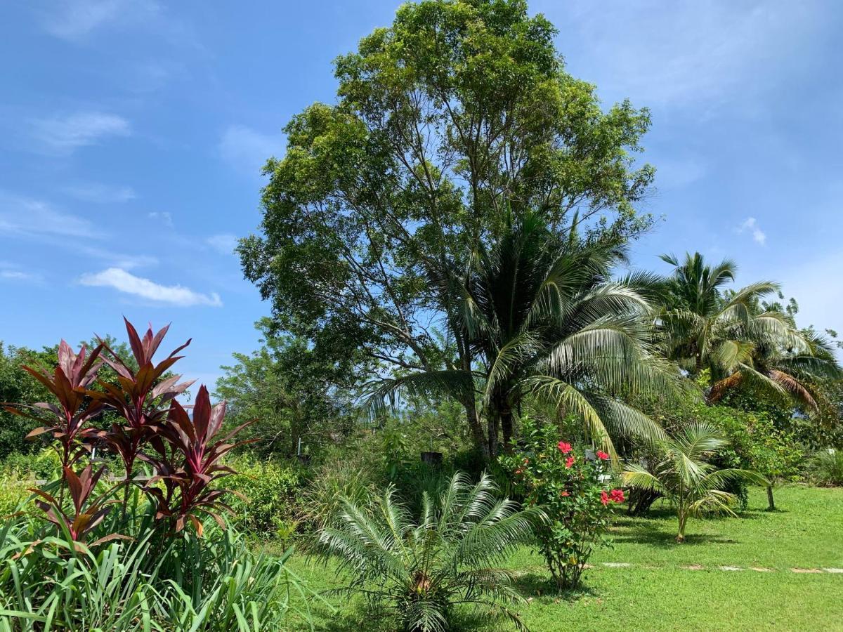 Lovely Garden Villas بانتايْ تْشينانغ المظهر الخارجي الصورة