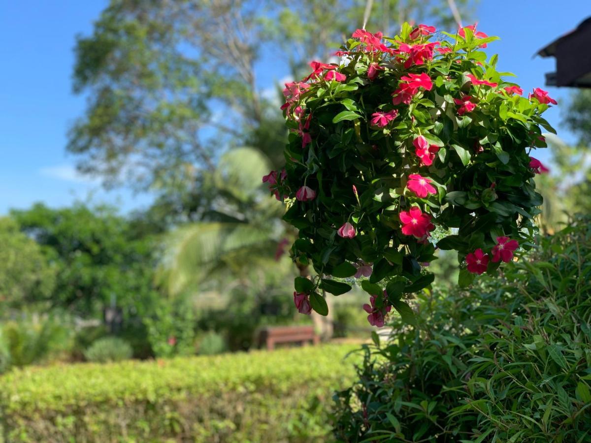 Lovely Garden Villas بانتايْ تْشينانغ المظهر الخارجي الصورة