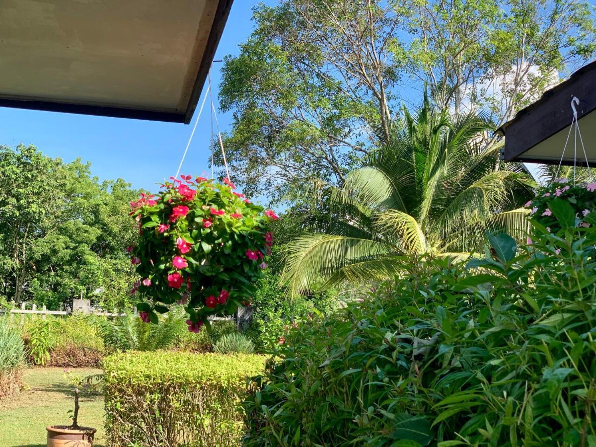 Lovely Garden Villas بانتايْ تْشينانغ المظهر الخارجي الصورة